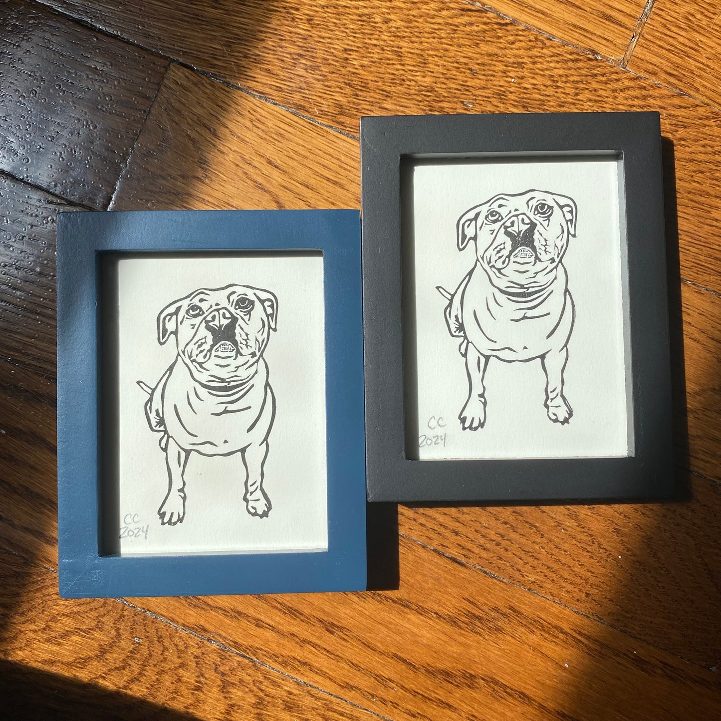 Not not a mini - Pittie