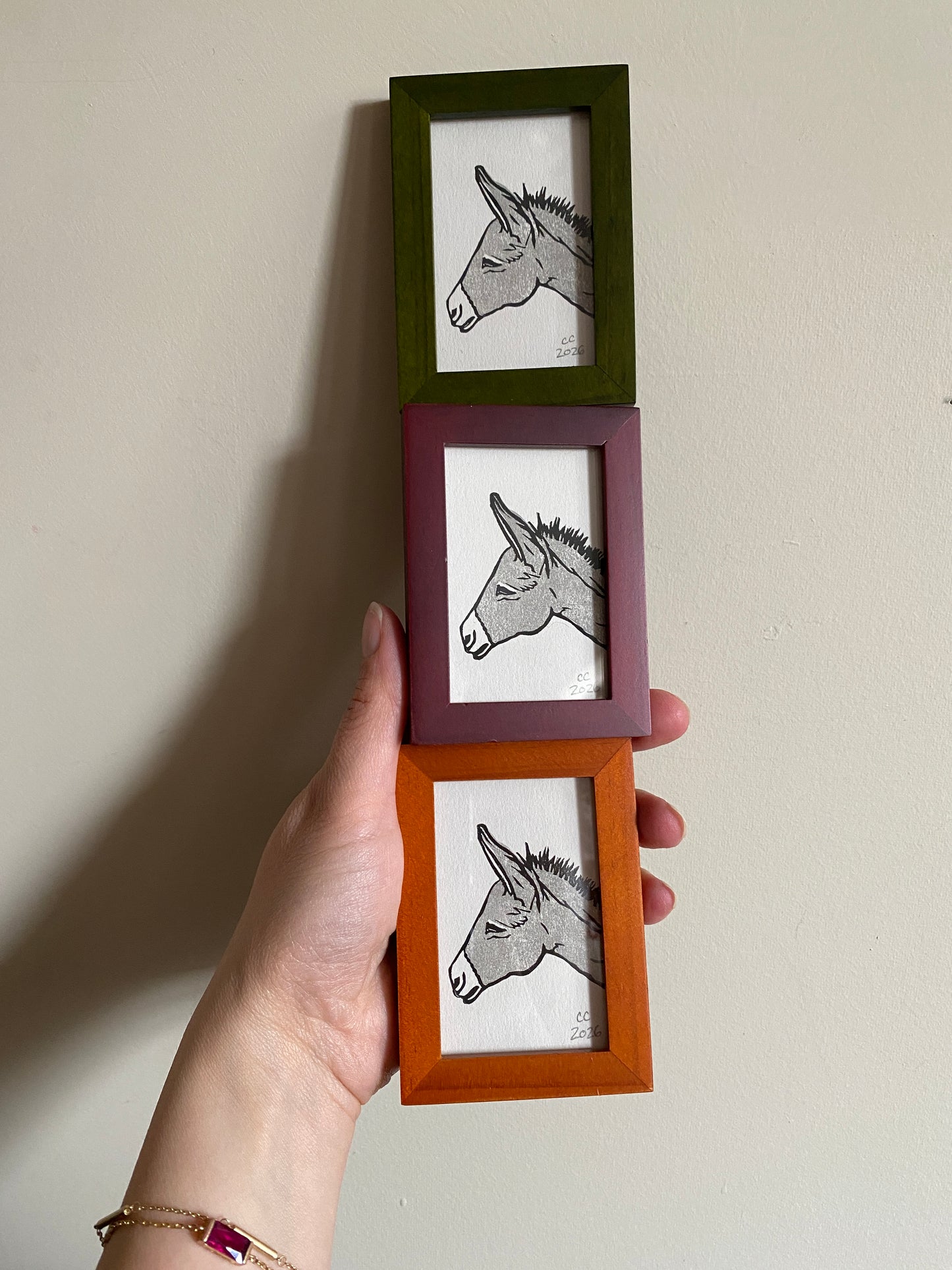 Mini Donkey 🫏