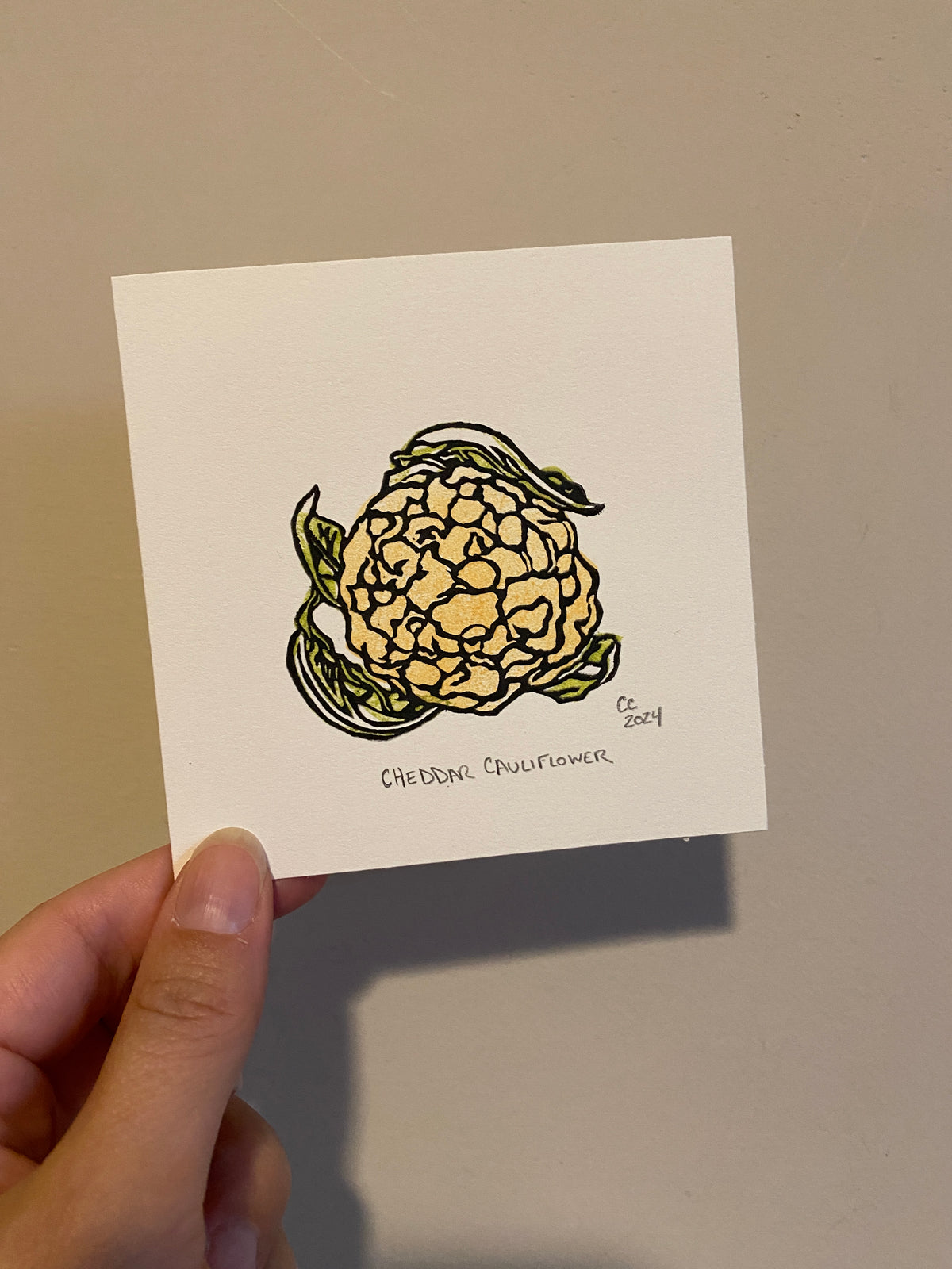 $5 cauliflower print