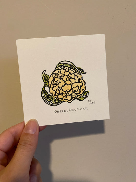 $5 cauliflower print