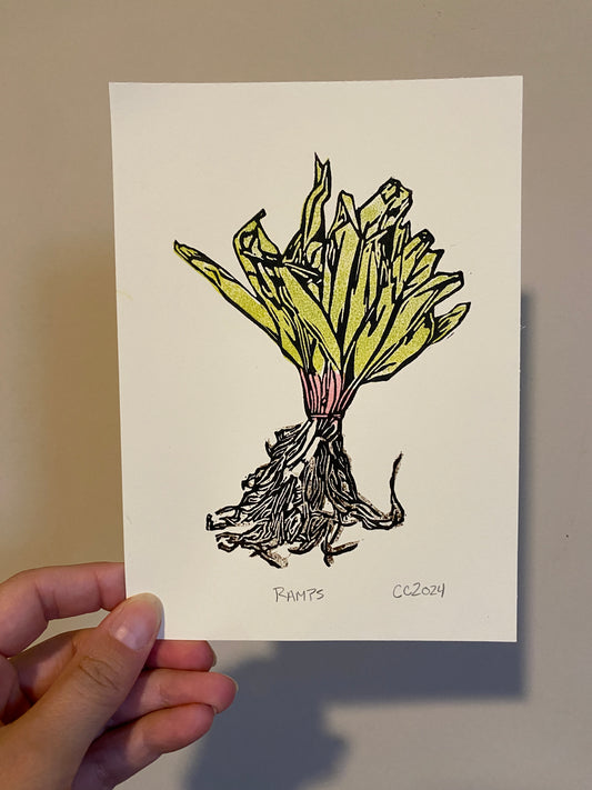 $5 Ramps Print