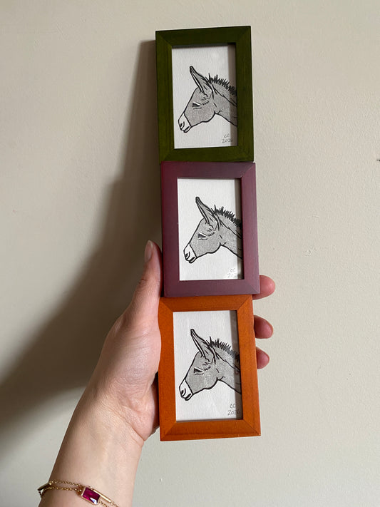 Mini Donkey 🫏